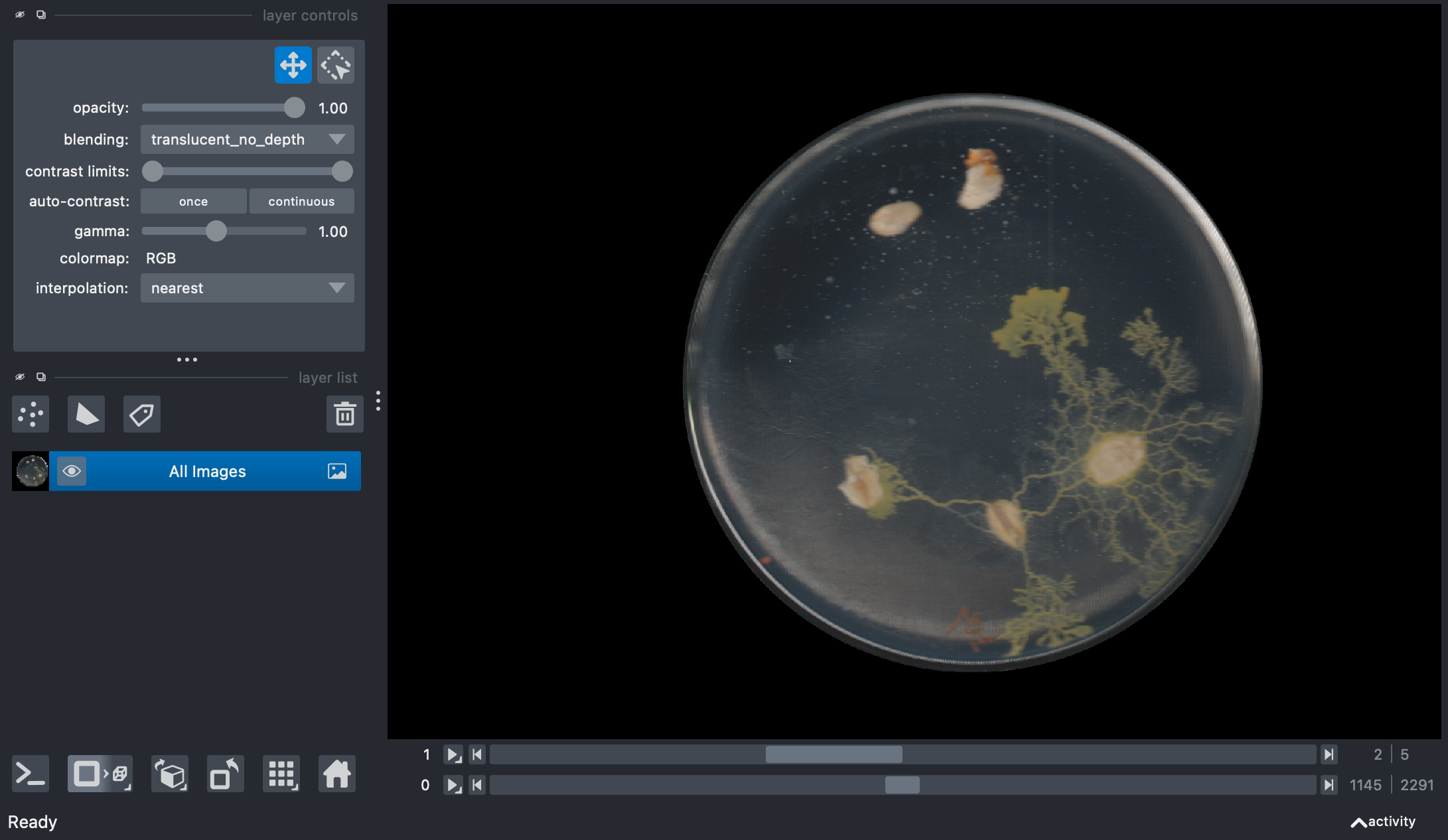 Physarum Time-Series to Zarr