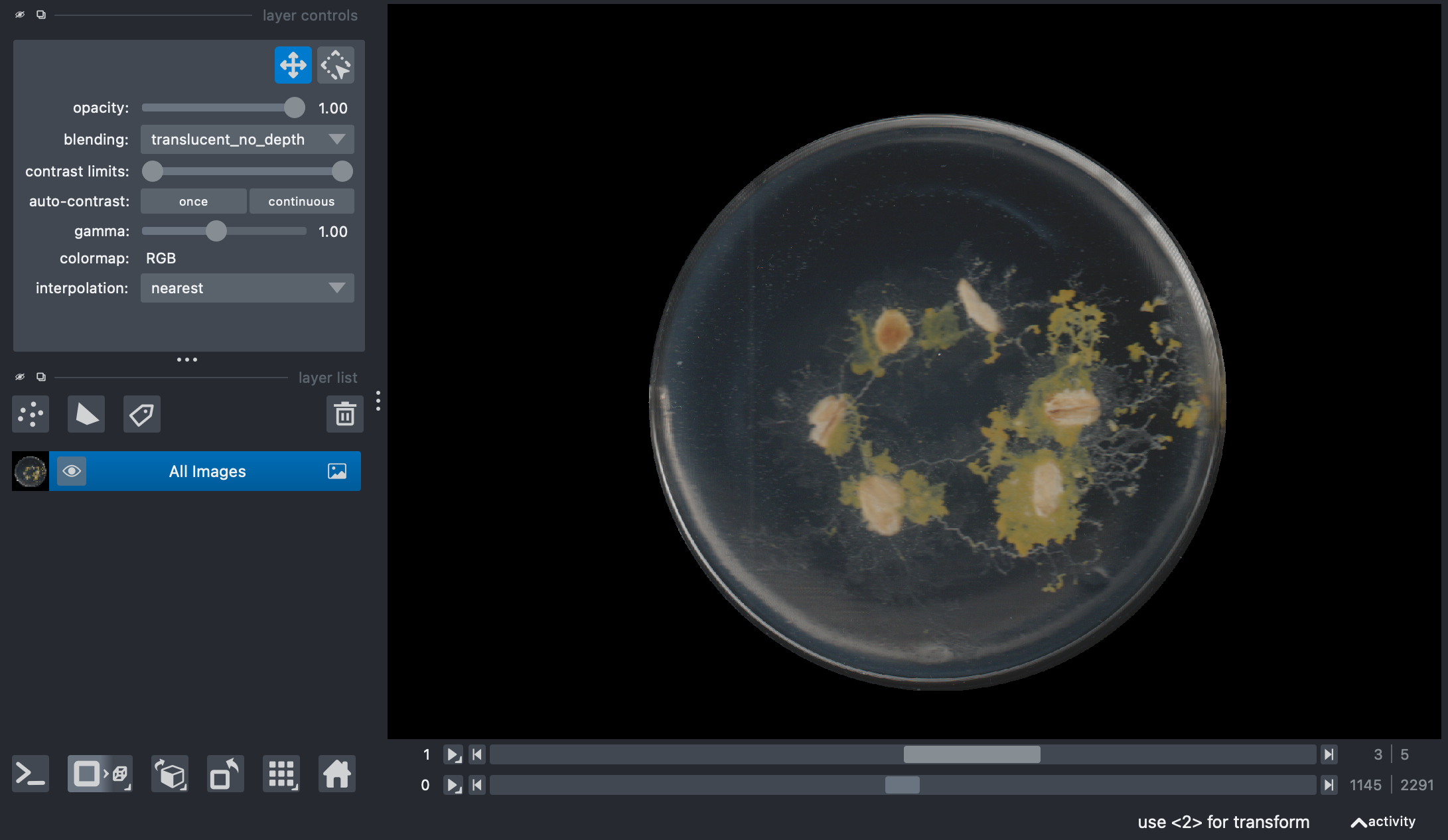 Visualize Physarum Petri Dish Detection